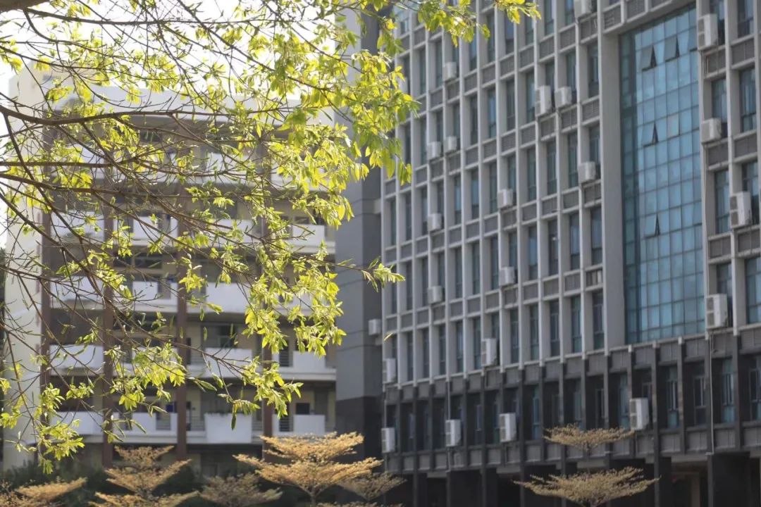 廣東科技學(xué)院南城校區(qū)