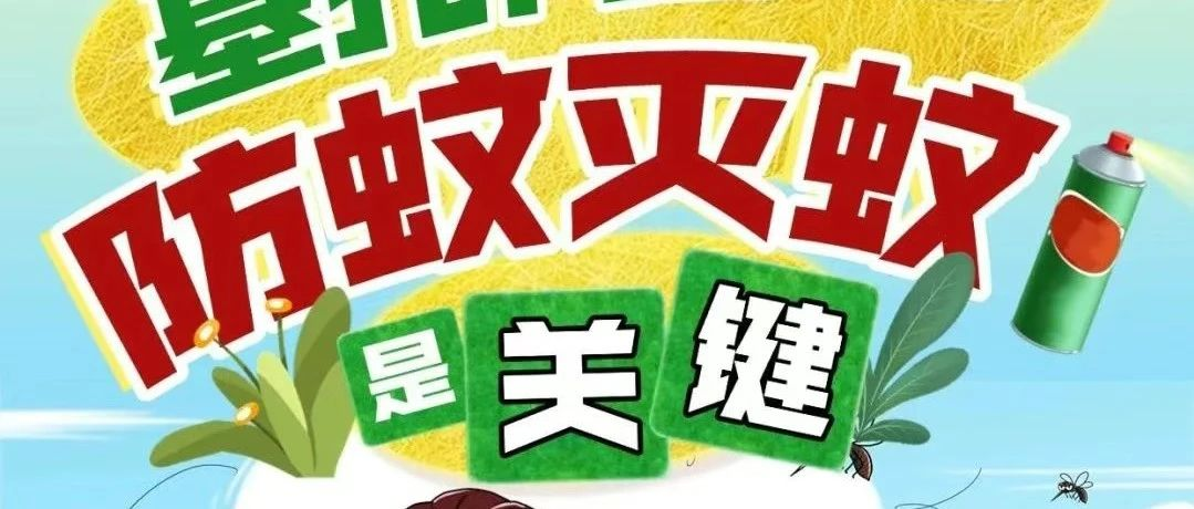 別讓蚊子“?！鄙夏愕募倨?！基孔肯雅熱&登革熱預(yù)防要點速覽