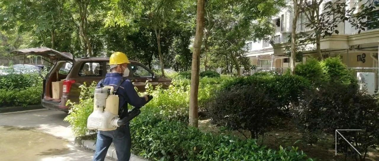 “兩熱”防控丨“組合拳”直擊“兩熱”，筑牢蚊媒傳染病防控網(wǎng)！